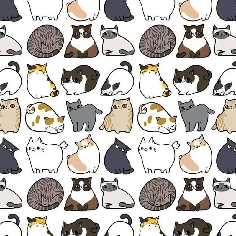 Nhóm họa tiết hoạt hình in trên vải tại Thiên Trì