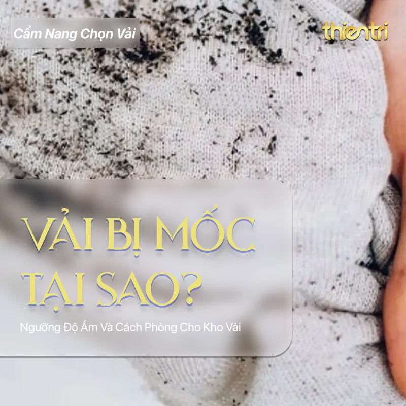 Thẻ tiêu đề bài Vải Bị Mốc Tại Sao, chữ vàng trên nền cận cảnh mặt vải dệt kim trắng bị mốc đen, kèm logo Thiên Trì Textiles Factory